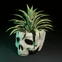 cranio vaso di fiori casa libero interni interieur la decorazione deco arredamento pianta fiore pot 3d print model - Mito3D