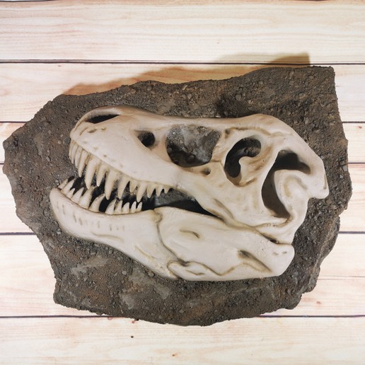 skull fossil t-rex art tyrannosaurus rex dinosaurs jurassic park 3D print model - Mito3D