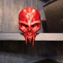skull head trophy art 3d print model - Mito3D