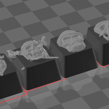cráneo tecla conjunto muerte piratas 3d print model - Mito3D