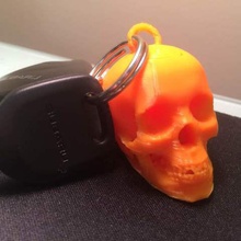 cranio portachiavi vari biologia 3d print model - Mito3D