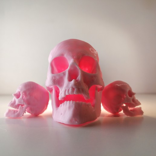 skull lamp - highpoly3dscan various scan 3d scanned 3D print model - Mito3D