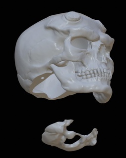 cranio luce Halloween decorazione orrore demone lampada mostro diavolo 3d print model - Mito3D