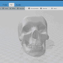 crânio companheiro 3d print model - Mito3D