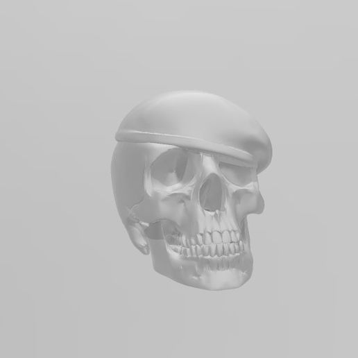 cráneo militar tica 3D print model - Mito3D