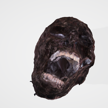 cranio mummia arte scultura scansione 3d print model - Mito3D
