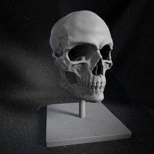 skull ornament art 3d print model - Mito3D