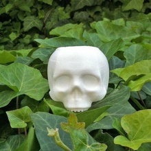skull planter v3 h80mm home 3d print model - Mito3D