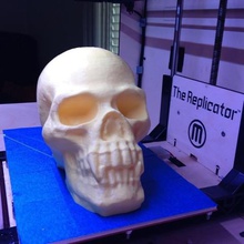 cranio, denti appuntiti art scansioni repliche vampiro cranio samhain orrore di halloween guida introduttiva catturato 3d print model - Mito3D