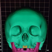 cráneo redimensionable artilugio Arte 3d elegante Víspera Santos juego anatomía 3d print model - Mito3D
