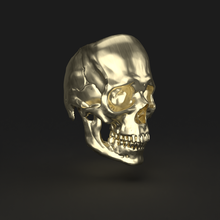 skull riing - head jewelry ring cranium art bones motorcycle bike metal design 3d zbrush blender 3d print model - Mito3D