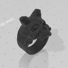 cráneo anillo joyería joya 3d print model - Mito3D