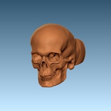 cranio squillare arte teschi 3dskull 3d print model - Mito3D