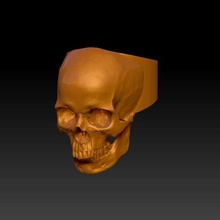 skull ring jewelry skull ring 3d print model - Mito3D