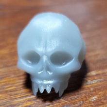 cranio squillare 3d print model - Mito3D