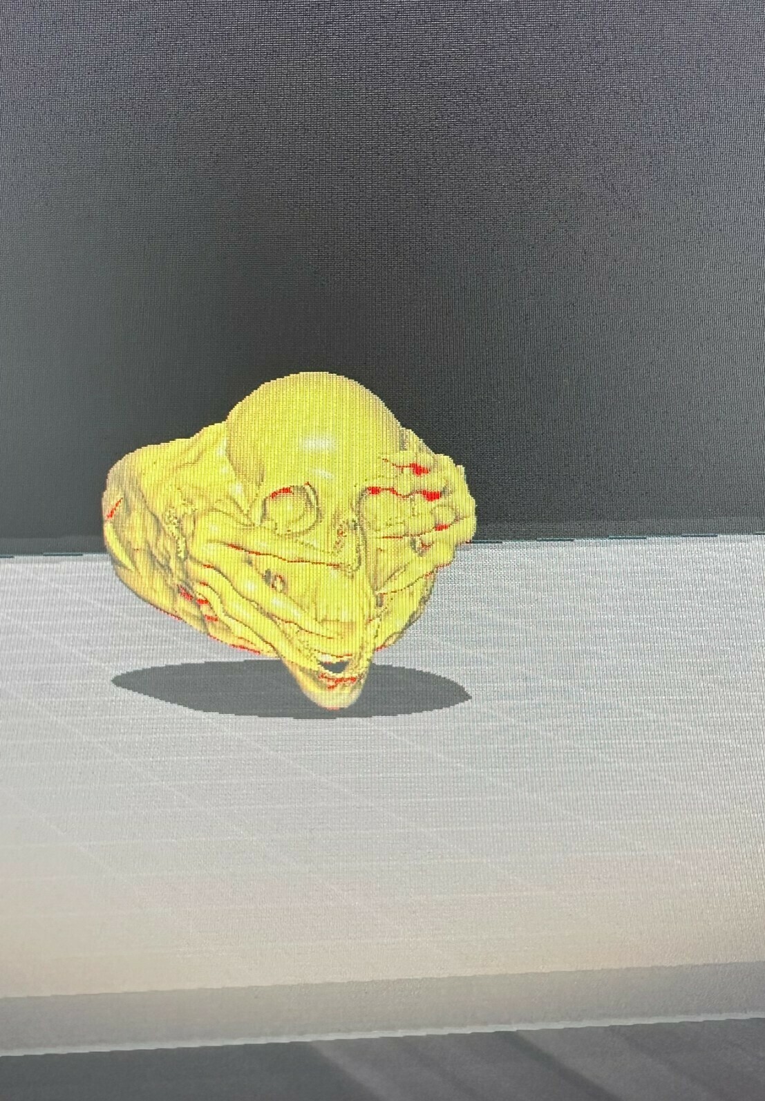 skull ring cranium 3D print model - Mito3D