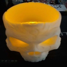 crânio sabre dente vaso 3d_printing 3d print model - Mito3D
