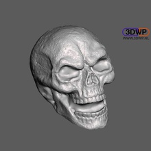 skull sculpture 3d scan including hollow version art human lamp led meshmixer statue scans replicas 3d print model - Mito3D