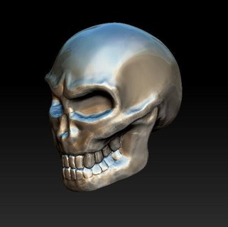 skull simple skull head anatomy bone  3d print model - Mito3D