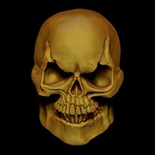 skull skeletor art motuc motu he-man fanart mythic legion 3d toy custom 3d print model - Mito3D