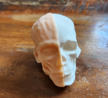 crânio deco 3d print model - Mito3D