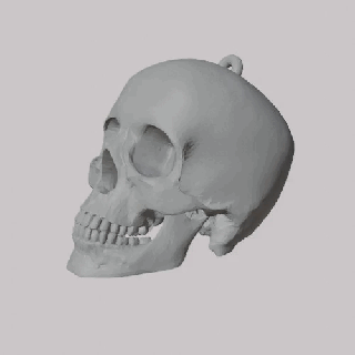 cranio portachiavi pendente orecchini 3d print model - Mito3D