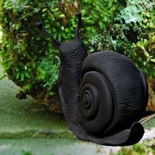 crâne de l'escargot art toy le décorative 3d print model - Mito3D