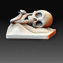 skull snake art animal printable model high poly creature 3d print model - Mito3D