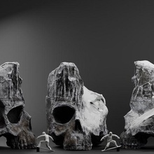 skull snow serie3 art 3d print model - Mito3D