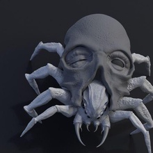 cráneo araña 3d print model - Mito3D
