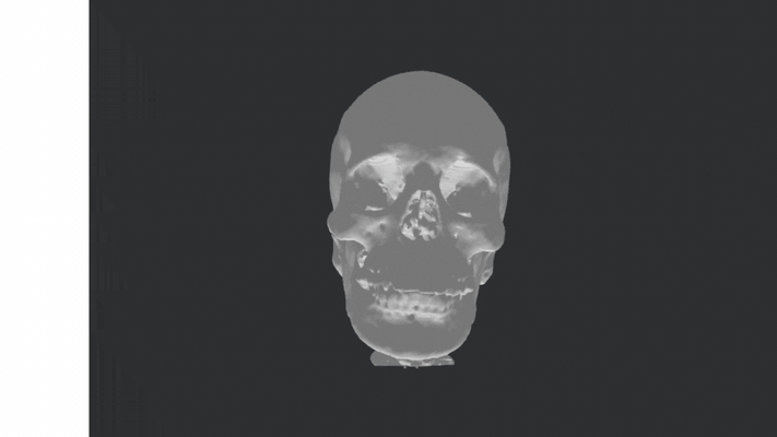 kafatası omurga model anatomi sanatı tıp eğitimi i̇skelet çalışması bilim modelleri ortopedi biyoloji sınıfı insan anatomisi eğitim araçları modeli 3d print model - Mito3D