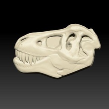 cráneo t rex molde bañera bomba sólido champú 3d print model - Mito3D