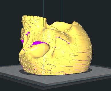 cranio tavolo pentola asilo spettrale terrario arte 3d print model - Mito3D
