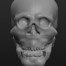 crânio coisa a arte esculturas 3d print model - Mito3D