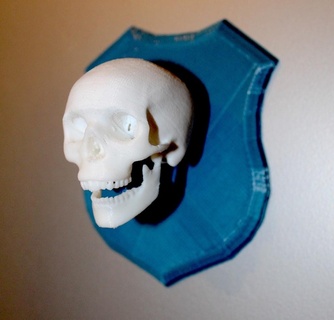 cranio trofeo umano cranio cranio trofeo sculture 3d print model - Mito3D