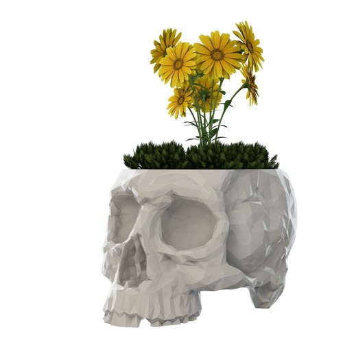 skull vase home 3dprinting 3D print model - Mito3D