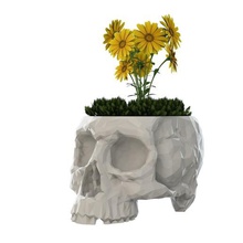 skull vase home 3dprinting 3d print model - Mito3D