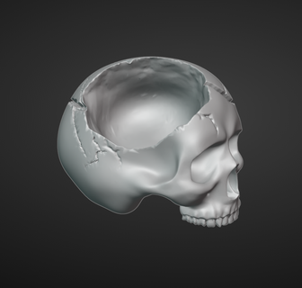 cranio vaso 3d print model - Mito3D