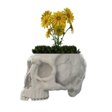 kafatası vazo ev 3d print model - Mito3D