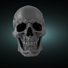 cranio ver 1 3d print model - Mito3D