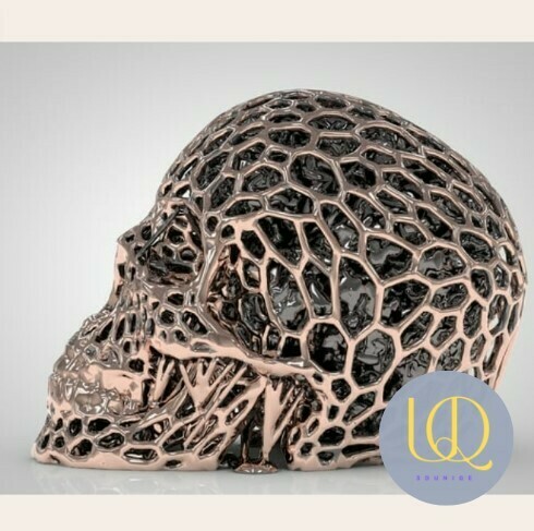 crâne voronoi unique 3d vase meilleur conception présent décor 3D print model - Mito3D