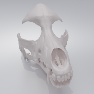 chien crâne fursuit velu tête 3d print model - Mito3D