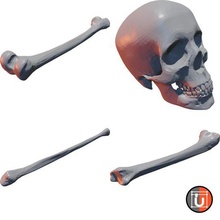 kafatasları kemikler yeniden karıştırılmış temel eklentiler 3d print model - Mito3D