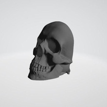 skulls wall decoration skull skeleton head 3d print model - Mito3D