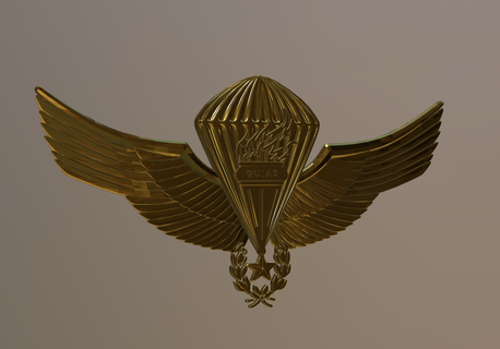 parachutisme guider art piocha sssssssssss spécial forces marine 3d print model - Mito3D