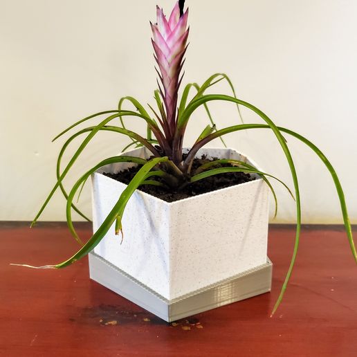 slanted hexagon desktop indoor succulent planter planters pot plant 3d 3D print model - Mito3D