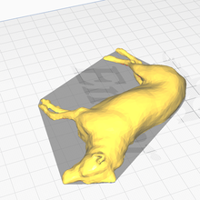 train dormir chien animal scanné 3d print model - Mito3D