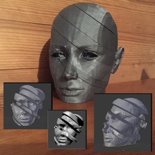 dilimlenmiş baş kadının sanat bölümü poly düşük yüz 3d print model - Mito3D