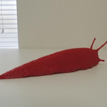 slug gioco animali 3d print model - Mito3D
