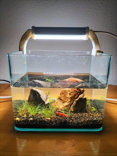 small aquarium lamp aquarium lamp led terrarium  3d print model - Mito3D